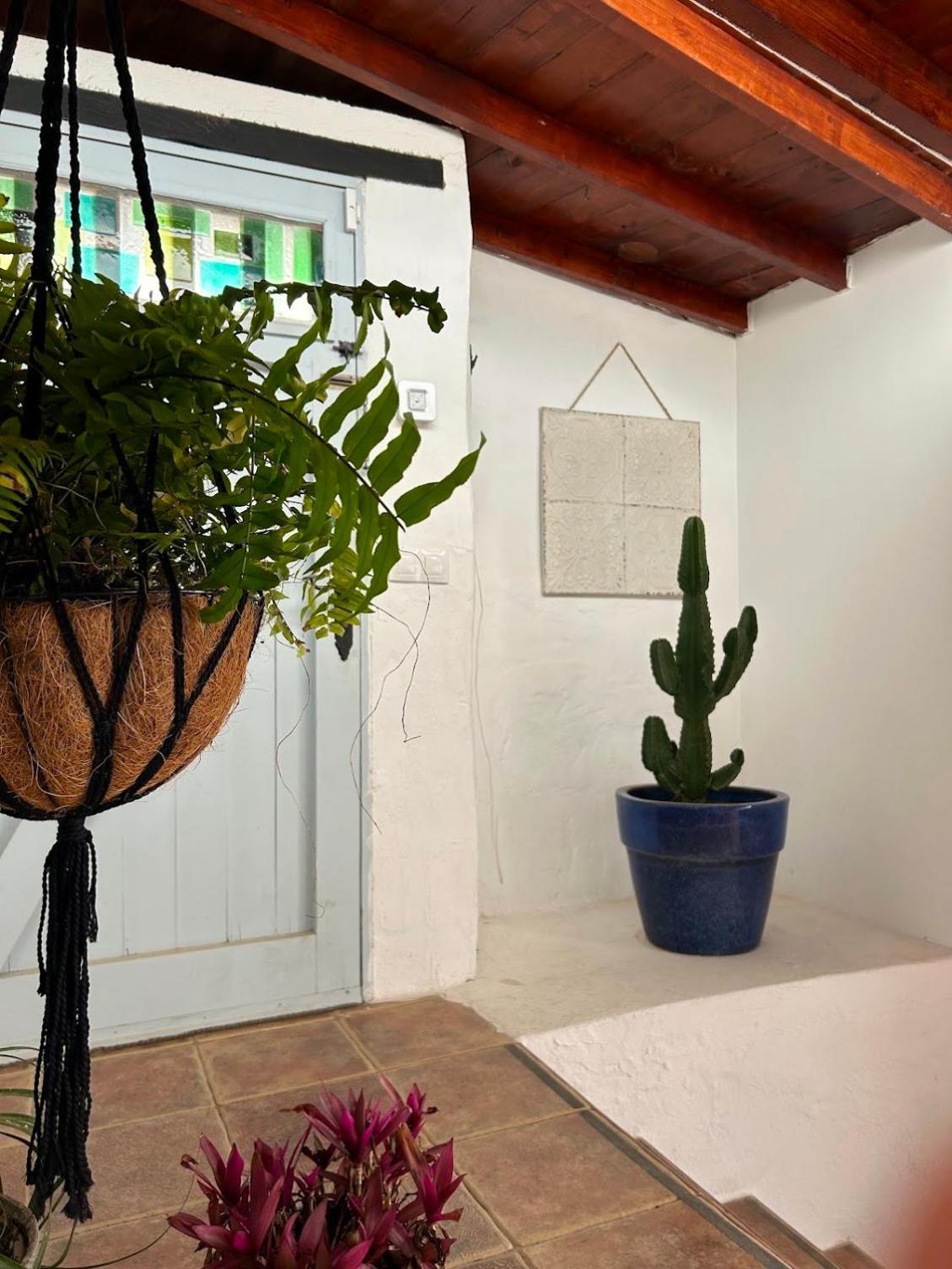 Casa Mialma Lanzarote Villa Conil Exteriör bild